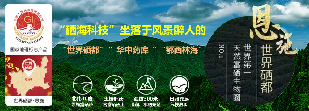 硒海科技企业展示图